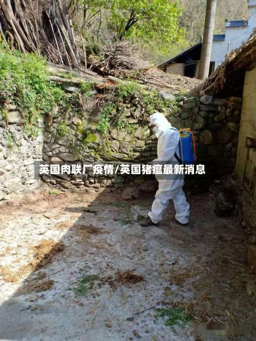 英国肉联厂疫情/英国猪瘟最新消息