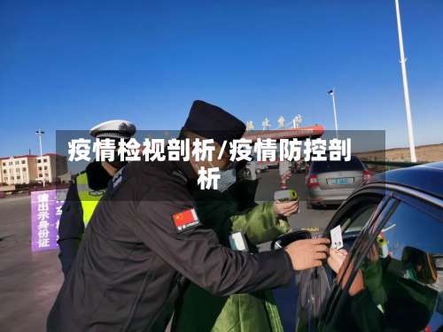 疫情检视剖析/疫情防控剖析