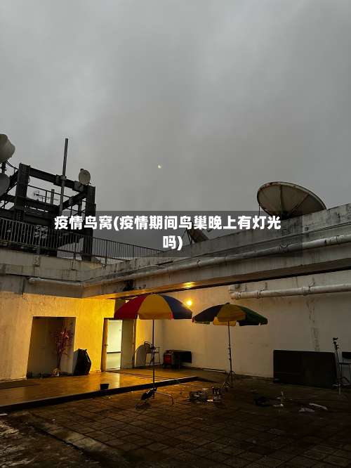 疫情鸟窝(疫情期间鸟巢晚上有灯光吗)