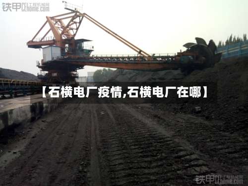 【石横电厂疫情,石横电厂在哪】