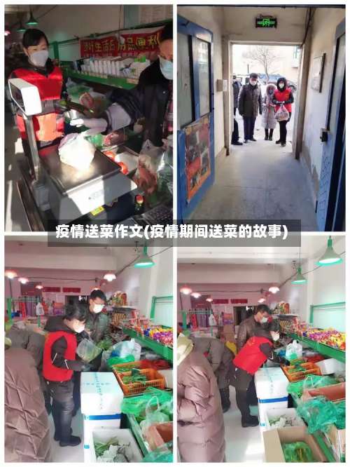 疫情送菜作文(疫情期间送菜的故事)