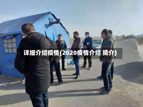 详细介绍疫情(2020疫情介绍 简介)-第2张图片