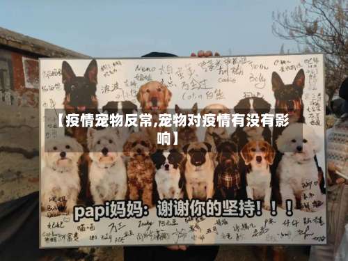 【疫情宠物反常,宠物对疫情有没有影响】-第3张图片
