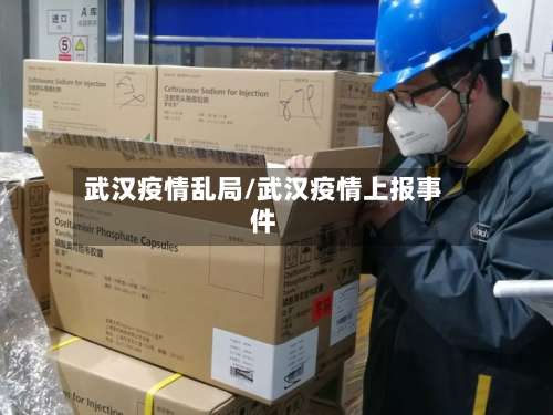 武汉疫情乱局/武汉疫情上报事件