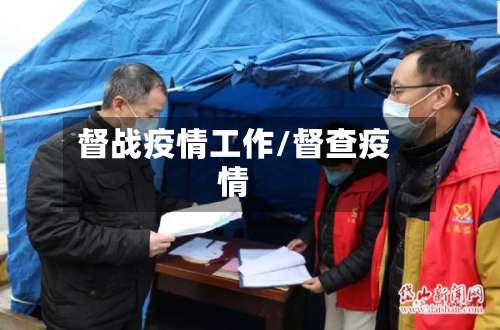 督战疫情工作/督查疫情-第3张图片