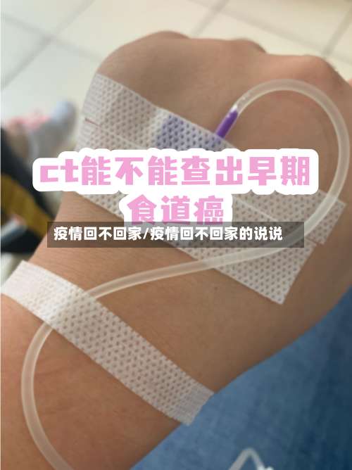 疫情回不回家/疫情回不回家的说说-第3张图片