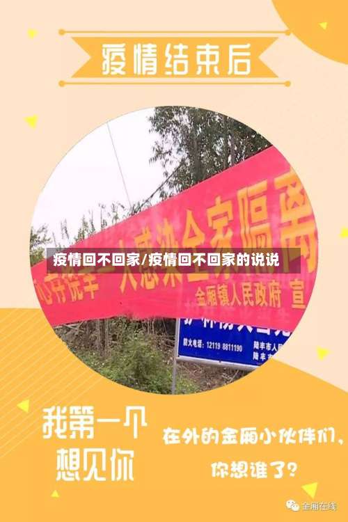 疫情回不回家/疫情回不回家的说说-第2张图片