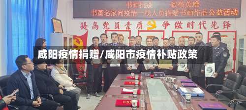 咸阳疫情捐赠/咸阳市疫情补贴政策