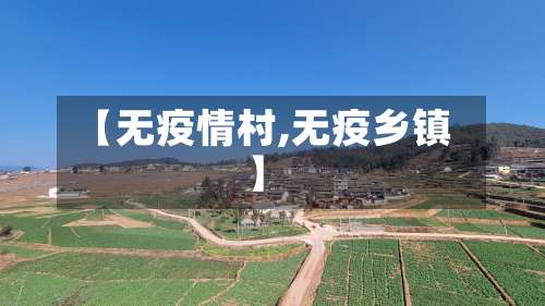 【无疫情村,无疫乡镇】-第3张图片