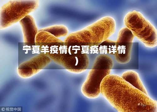 宁夏羊疫情(宁夏疫情详情)-第2张图片