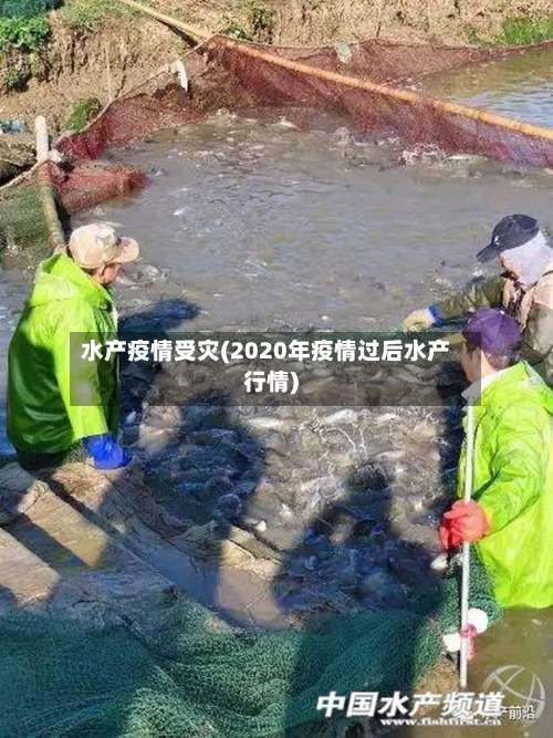 水产疫情受灾(2020年疫情过后水产行情)