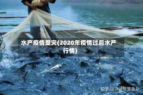 水产疫情受灾(2020年疫情过后水产行情)-第2张图片