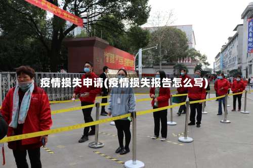 疫情损失申请(疫情损失报告怎么写)-第2张图片