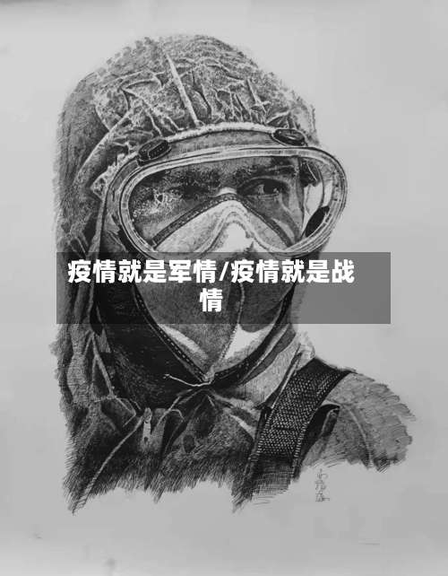 疫情就是军情/疫情就是战情-第2张图片