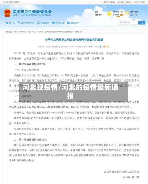 河北现疫情/河北的疫情最新通报-第2张图片