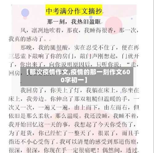 【那次疫情作文,疫情的那一刻作文600字初一】-第2张图片