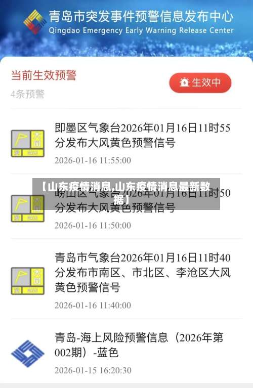 【山东疫情消息,山东疫情消息最新数据】-第2张图片