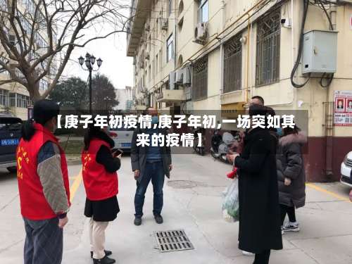 【庚子年初疫情,庚子年初,一场突如其来的疫情】-第2张图片