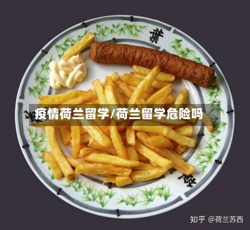 疫情荷兰留学/荷兰留学危险吗-第2张图片