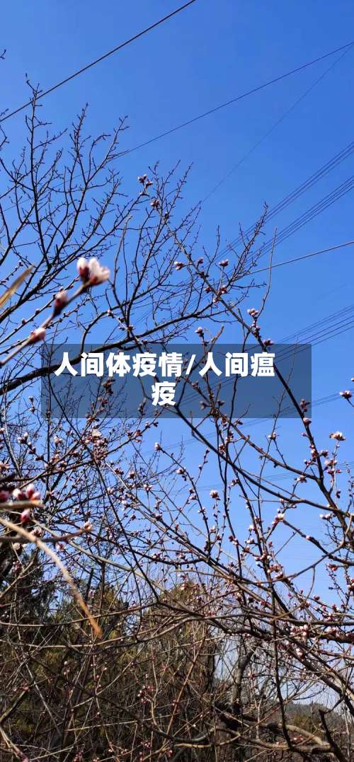 人间体疫情/人间瘟疫-第2张图片