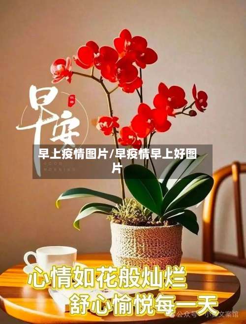 早上疫情图片/早疫情早上好图片-第3张图片