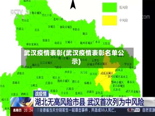 武汉疫情表彰(武汉疫情表彰名单公示)