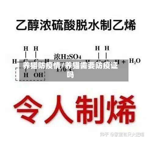 养猫防疫情/养猫需要防疫证吗-第3张图片