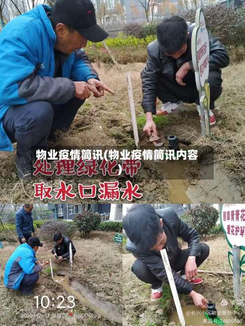 物业疫情简讯(物业疫情简讯内容)