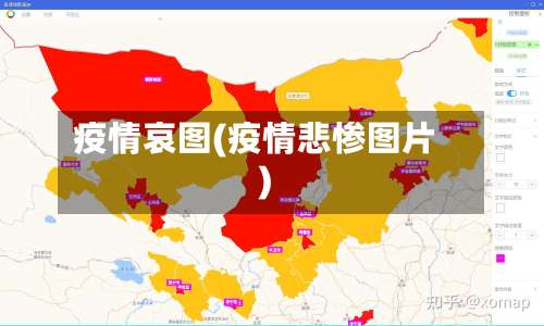 疫情哀图(疫情悲惨图片)-第3张图片