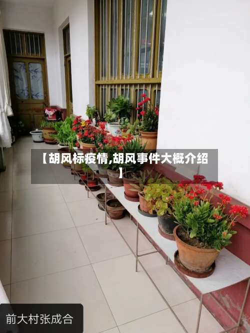 【胡风标疫情,胡风事件大概介绍】
