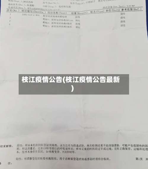 枝江疫情公告(枝江疫情公告最新)