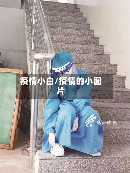 疫情小白/疫情的小图片