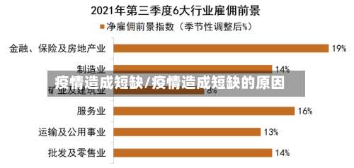 疫情造成短缺/疫情造成短缺的原因