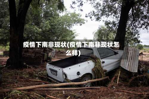 疫情下南非现状(疫情下南非现状怎么样)