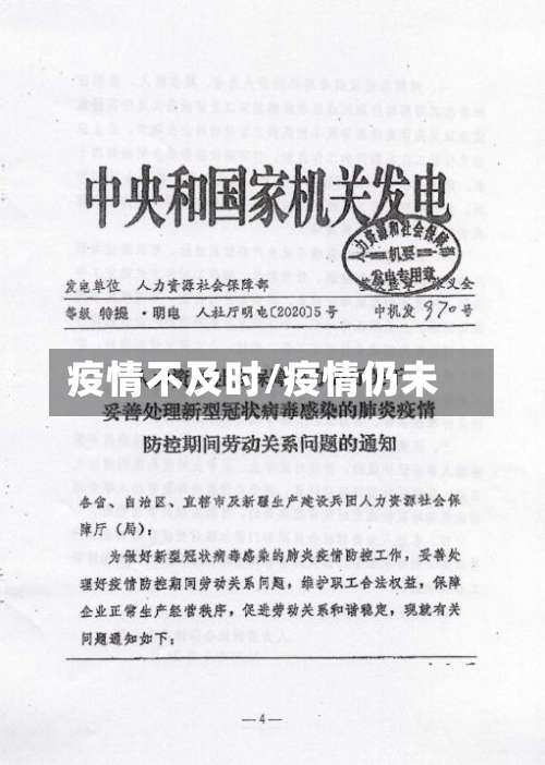 疫情不及时/疫情仍未-第3张图片