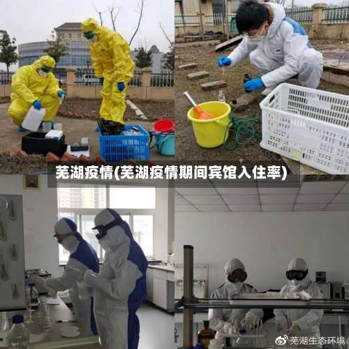 芜湖疫情(芜湖疫情期间宾馆入住率)