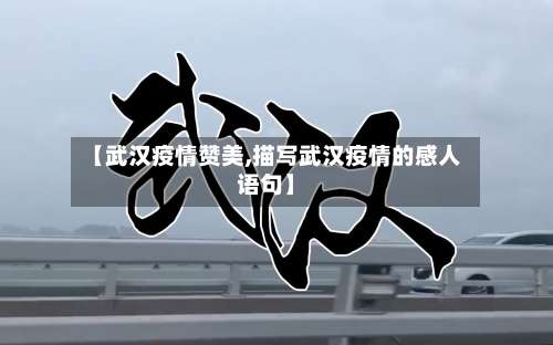 【武汉疫情赞美,描写武汉疫情的感人语句】-第3张图片