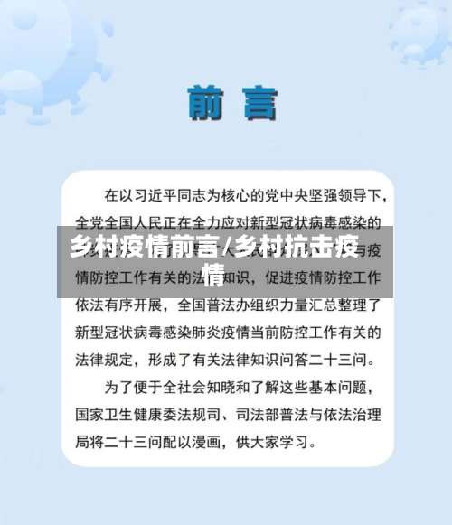 乡村疫情前言/乡村抗击疫情-第2张图片
