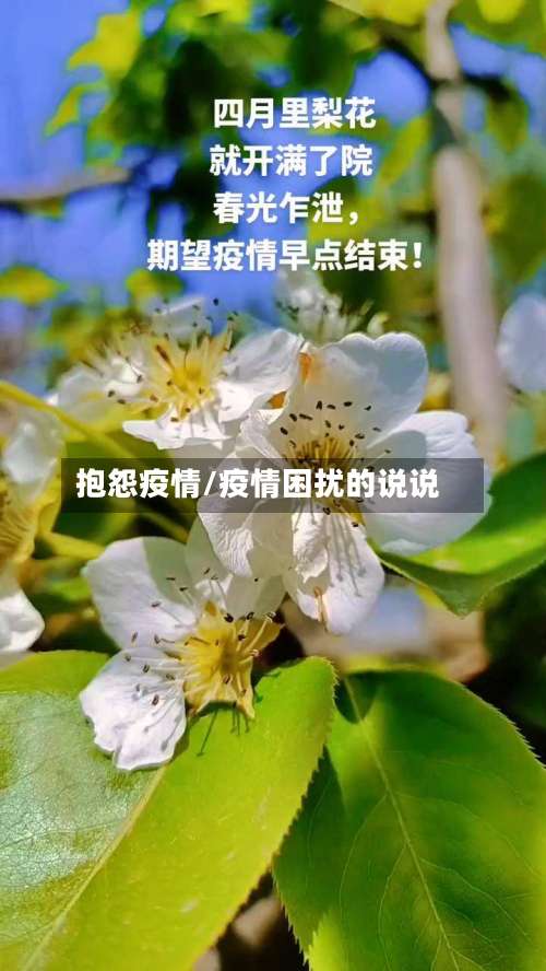 抱怨疫情/疫情困扰的说说-第3张图片