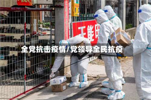 全党抗击疫情/党领导全民抗疫