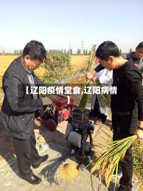 【辽阳疫情堂食,辽阳病情】-第2张图片