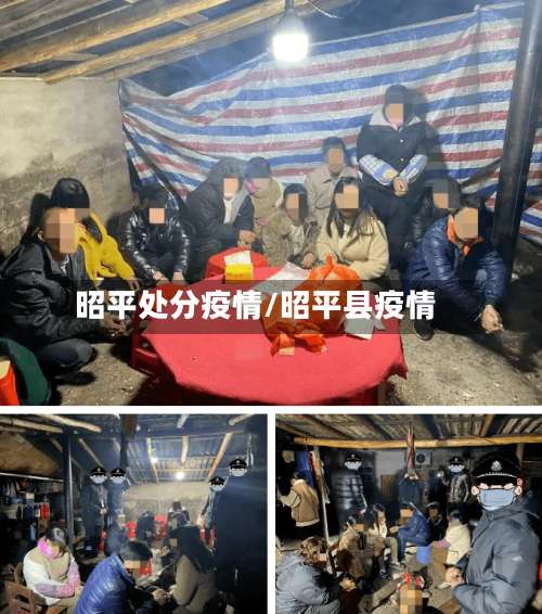 昭平处分疫情/昭平县疫情