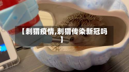 【刺猬疫情,刺猬传染新冠吗】-第2张图片