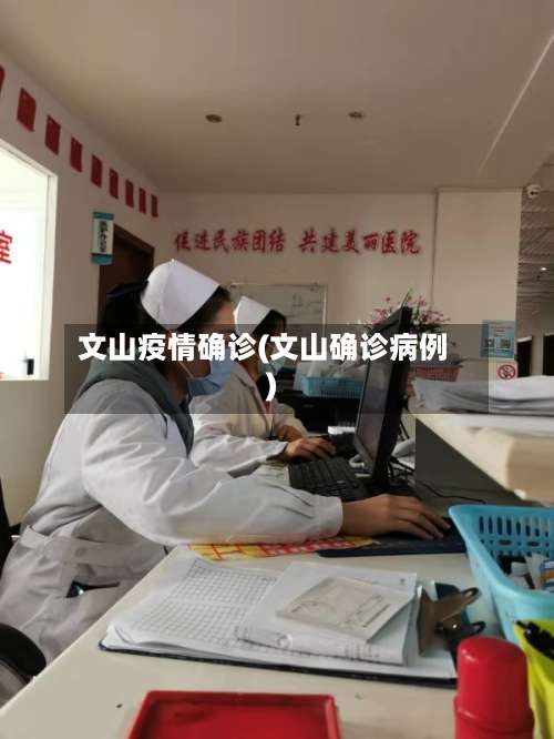 文山疫情确诊(文山确诊病例)-第2张图片