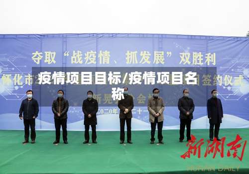 疫情项目目标/疫情项目名称-第2张图片