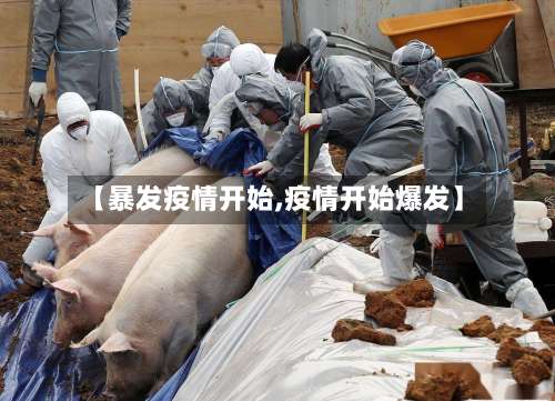 【暴发疫情开始,疫情开始爆发】-第2张图片