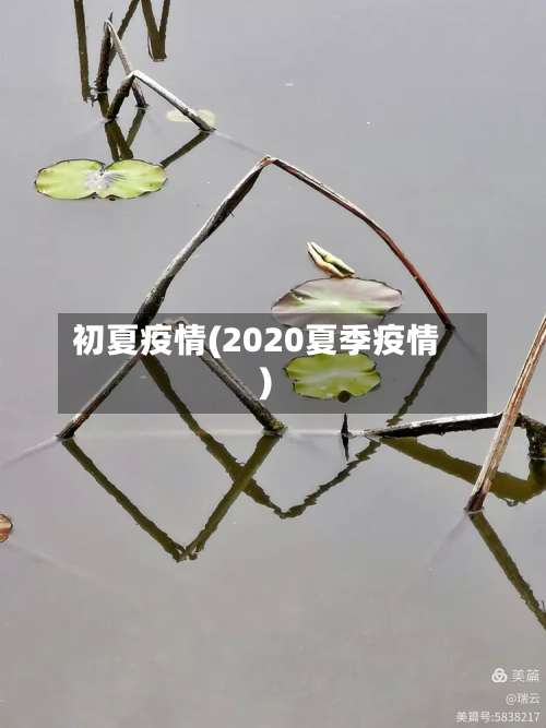 初夏疫情(2020夏季疫情)-第2张图片