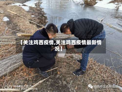 【关注鸡西疫情,关注鸡西疫情最新情况】-第3张图片