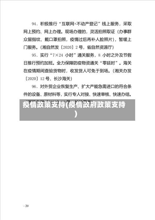 疫情政策支持(疫情政府政策支持)-第2张图片