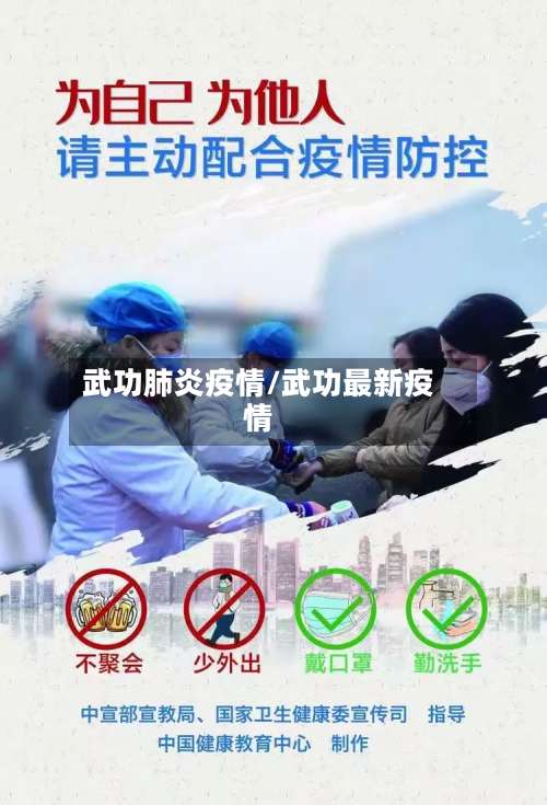 武功肺炎疫情/武功最新疫情-第3张图片